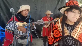 CONJUNTO MUSICAL HIJOS DE LIVITACA - 954722463 NÚMERO DE CONTACTO