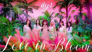 ILY:1 - Love In Bloom (Instrumental)