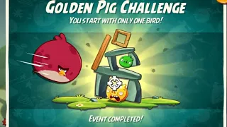 ANGRY BIRDS 2 GOLDEN PIG CHALLENGE  TERENCE  5/04/2024