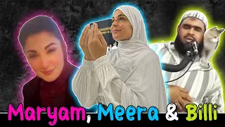 Meera ki Namaz , Maryam ka Roast and Cutest Billi - Three Viral Videos - Sana Amin