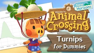 Turnips for Dummies | Animal Crossing New Horizons