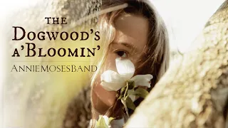 The Dogwood's a'Bloomin' - Annie Moses Band Official Music Video