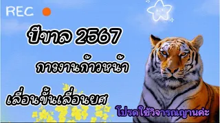 🕯☘️ปีขาล(เสือ)2567 ปาฏิหารย์และข่าวดีตลอดทั้งปี#ปีขาล #ดูดวง #ดวง12ราศี