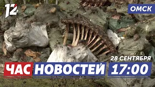 Скотомогильник / Смертельное ДТП / 32 миллиона районам. Новости Омска