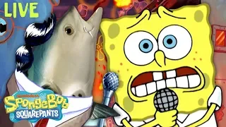 EVERY Bikini Bottom BREAKING NEWS Report 🚨 SpongeBob