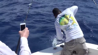 Fishing in Dominicana, Dorado Mahi Mahi