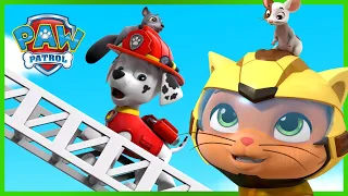 PAW Patrol and Cat Pack Save the Day | PAW Patrol | Cartoons for Kids