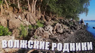 ВОЛЖСКИЕ РОДНИКИ России. Самарская Лука. Студеный овраг. Волга. Природа Самары август 2020