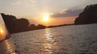 Te caut Danube Delta