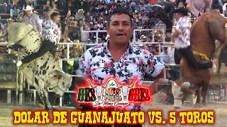 ¡5 TOROS PARA DOLAR DE GUANAJUATO! EL JARIPEO TRADICIONAL CON 22 DESTRUCTORES EN LA NORIA GUANAJUATO