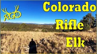 Colorado Elk | 1st Season Rifle | RGO #288