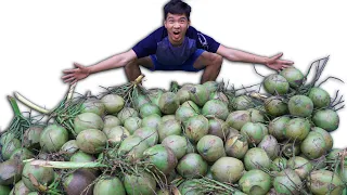 PHD | Thí Nghiệm 200 Quả Dừa Thu Được Bao Nhiêu Nước Dừa? | 200 Green Coconuts