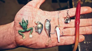 The Five Cheapest lures from Walmart! Are they any Good?