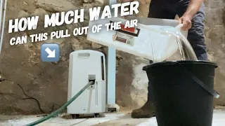 Drying out a damp cellar with a dehumidifier - Delonghi Ariadry 25L