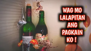 LABAN NG GAGAMBA ( WAG ANG PAGKAIN KO !!!! )