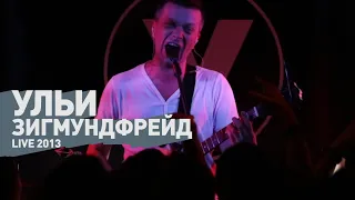 Ульи - Зигмундфрейд (live 2013)