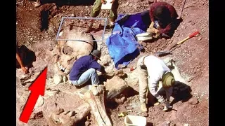 У археолога от удивления отпала челюсть.Доказательства существования древних ГИГАНТОВ