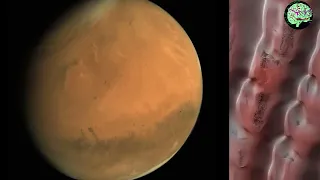 India's mars orbiter mission | what did india's  mars orbiter mission see over the mars | mangalyaan