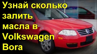 Сколько залить масла в двигатель VW Бора