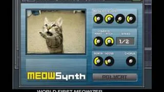 KNOBSTER Meowsynth