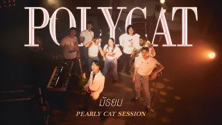POLYCAT - มัธยม | M3 [PEARLY CAT SESSION]