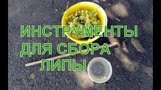 Инструменты для сбора липы. Чем и во что собирать цветки липы.