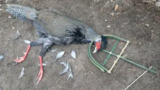 Wild Man: Creative Amazing Trap to Catch Pheasant in the Jungle