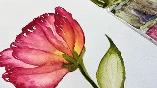 Watercolor translucent painting for Beginners, Simple and quick little flower, YOU CAN do this