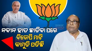 "No Substitute To BJD At 2024 Election In Odisha", Explains Senior Politician Damodara Rout