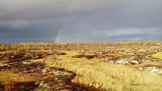 Autumn Forest Tundra Of Siberia  Russia Skoda Yeti Новый Уренгой Тундра с высоты птичьего полета