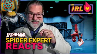 Spider Expert Breaks Down Spider-Man Movies | Fandom IRL