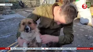 Віддали йому 3 останні сосиски: військові виходили пораненого собаку, який утік від ворога