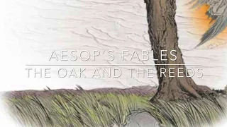 Aesop's Fables The Oak and the Reeds Narrated by Jon Wilkins