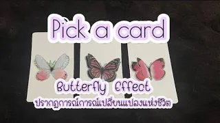 Pick a card🌎🍄🌈butterfly effect🦋🦋🦋🦋🌏🍄🌎🌈💕🍀