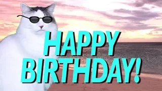 HAPPY BIRTHDAY SONG! - EPIC Cat Happy Birthday