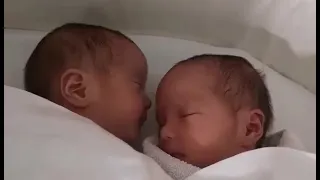 My day old twins, very hungry & trying to eat her twin sister😋😋 (August 2020)
