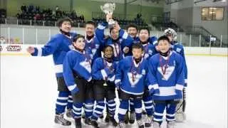 A look back: 2013-14 GTHL season