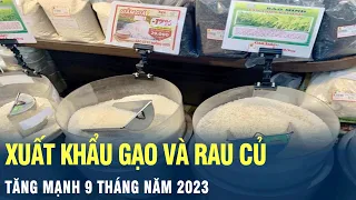 Xuất khẩu gạo và rau củ tăng mạnh trong 9 tháng đầu năm | VOV