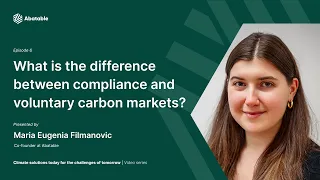 What is the difference between compliance and voluntary carbon markets? - Abatable