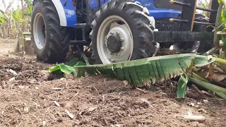 sonalika worldtrac 60 rx banana mulching performance