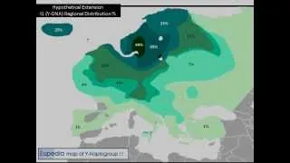 I1 (Y-DNA) Haplogroup at the End of the Ice Age