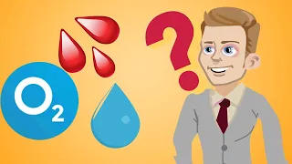 Можно ли умереть от переизбытка воды, крови или кислорода? | DeaaFilm