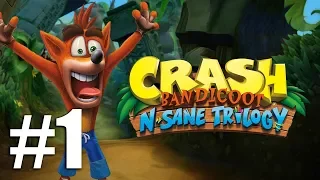 Прохождение Crash Bandicoot N. Sane Trilogy (PC) #1 - Первый остров [CB1]