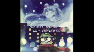 Рома Жуков x Imany mashup - Silver shy (Серебряная Луна х  Don't be so shy)