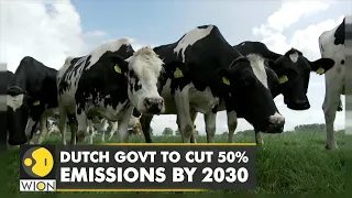 Nationwide protests held by farmers in Netherlands | Dutch govt to cut 50% emissions by 2030 | WION