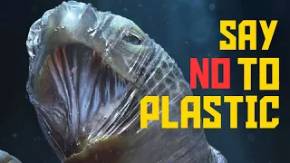 Heartbreaking Images That Show the Impact of Plastic on Animals