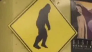 DNA evidence proves Big Foot is real?