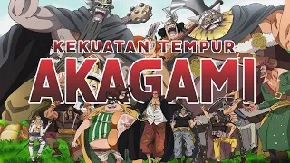 SELURUH KEKUATAN ARMADA BAJAK LAUT AKAGAMI NO SHANKS