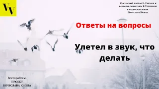 Улетел в звук, что делать. ВектораВсем. Проект Вячеслава Юнева