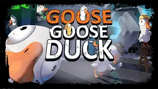 🔴 Goose Goose Duck❄️Кто убийца?